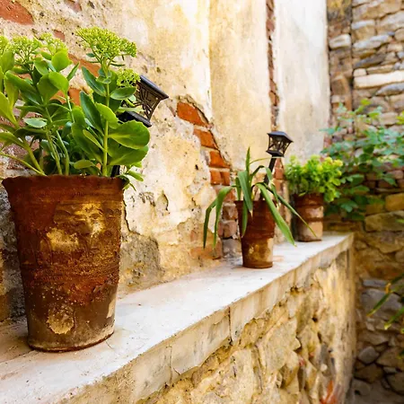 Private House In The Center Of Appartamento *